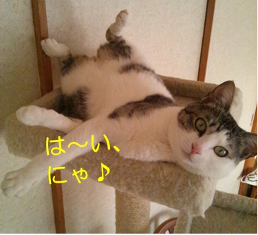 20121206_5.jpg