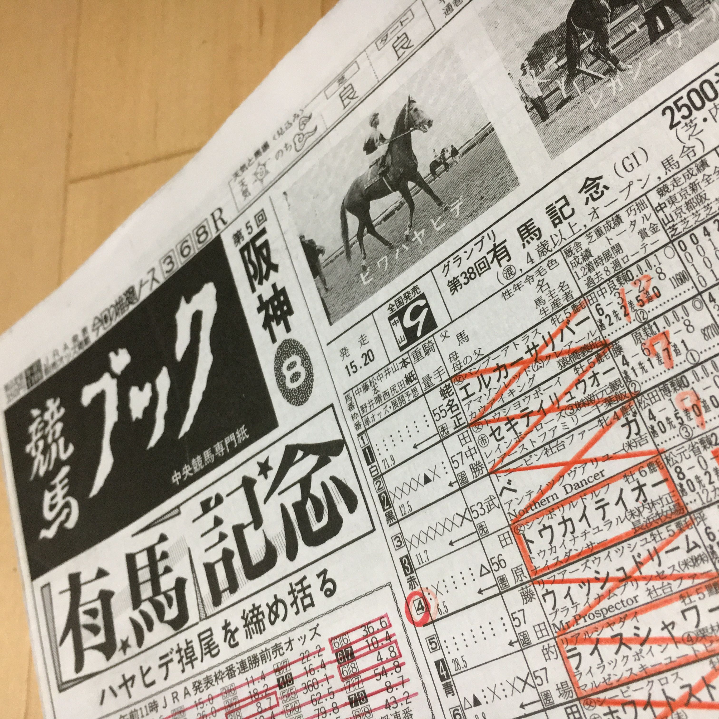 栄光の名馬たち【トウカイテイオー】 | 競馬予想Blog 【KOHHEIの穴馬絞り】 - 楽天ブログ