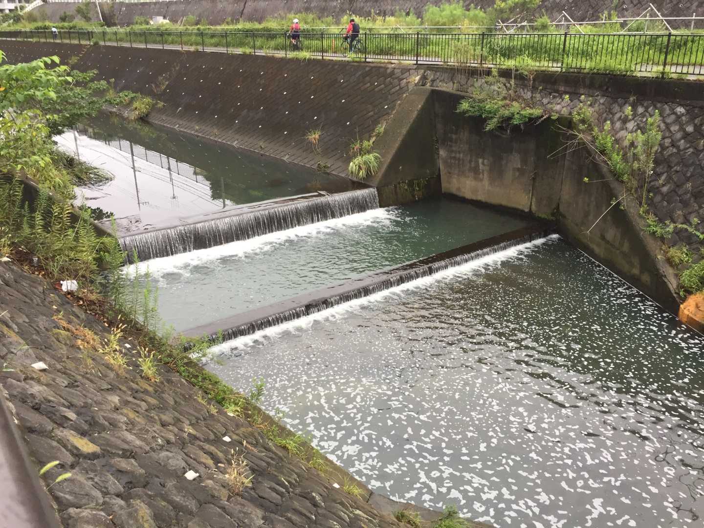 小川から川に出て上流に向かう こんころもち、ついてる・のってる、いと楽し! 楽天ブログ