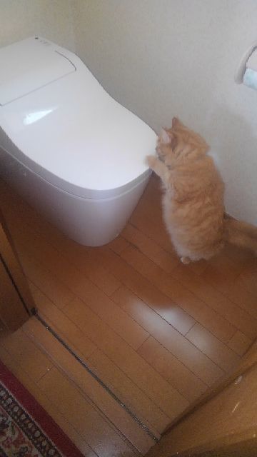 rblog-20181007090624-01.jpg
