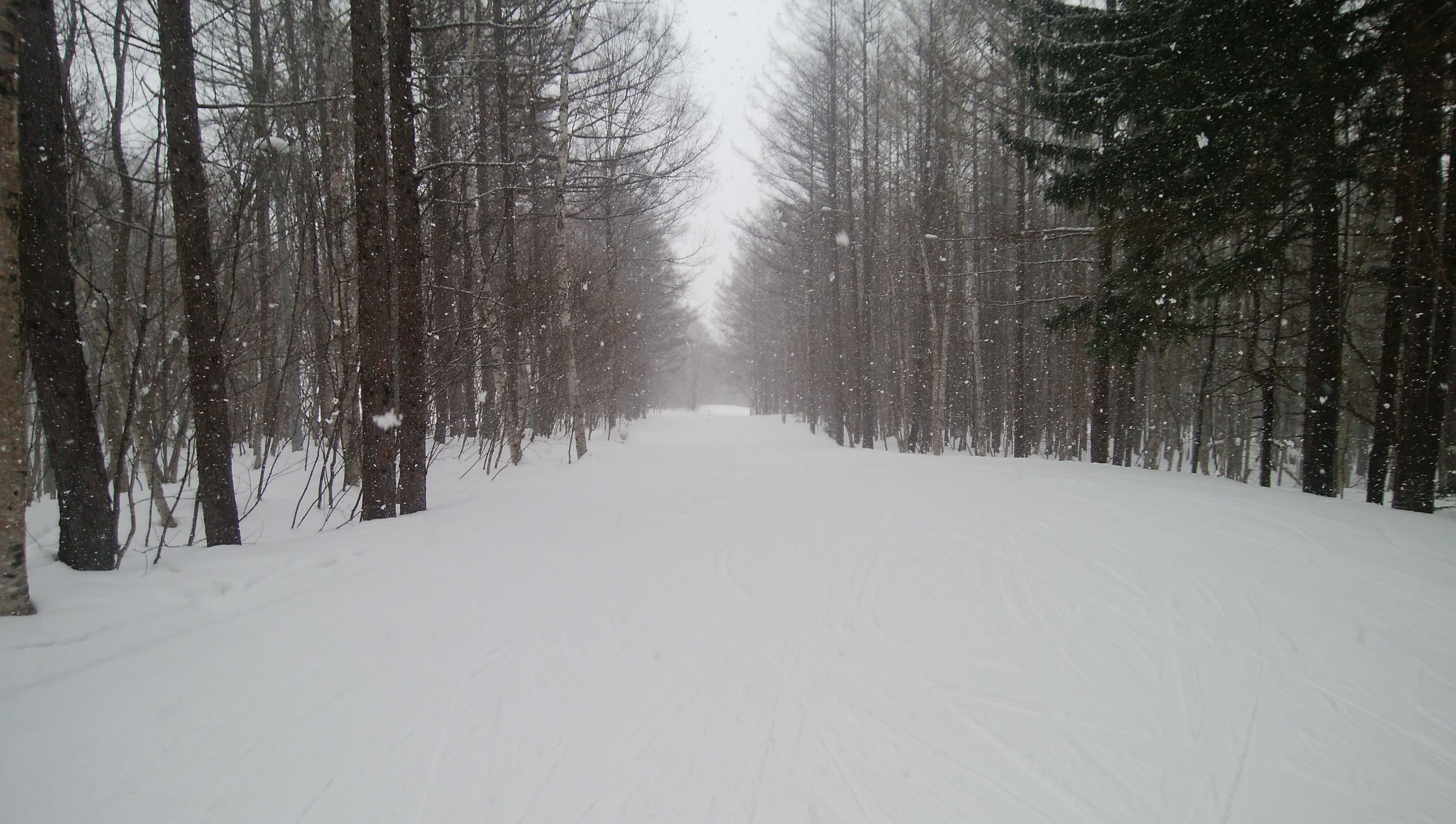 れぐぞうの人心地