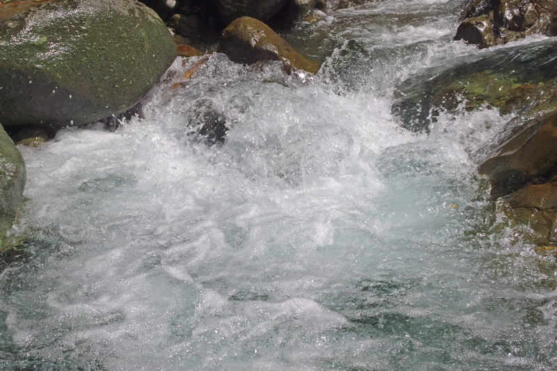 IMGP1787.jpg
