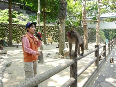 20160514 大分市　由布院10