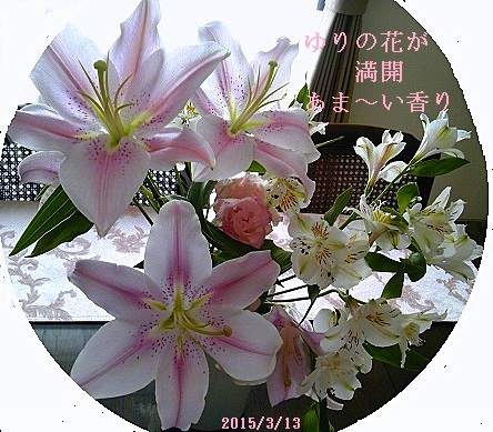 DVC00006,.jpg