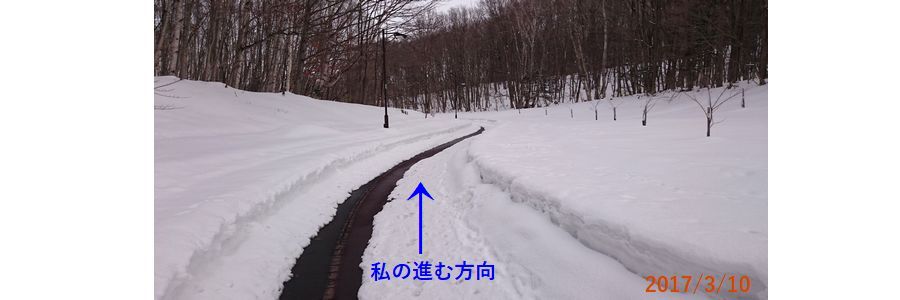 ３／１０遊歩道.jpg
