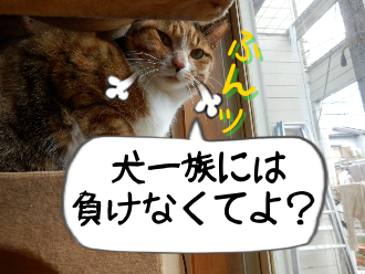 P4050015.png