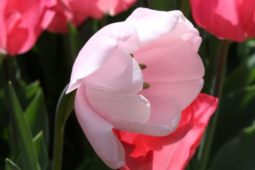 2015041902.JPG