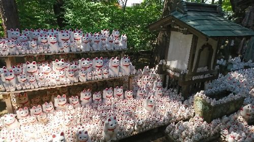 rblog-20180504183736-04.jpg