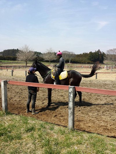 2歳馬と