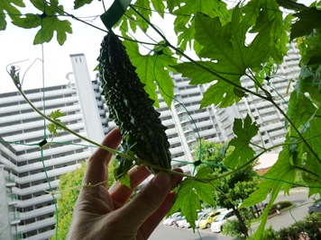 P1040857.JPG