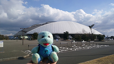 IMG_20150112_140357.jpg