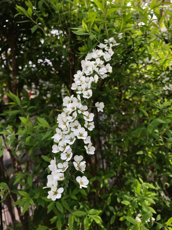 rblog-20190401164110-04.jpg