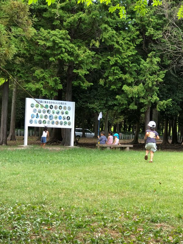 rblog-20180813114141-08.jpg