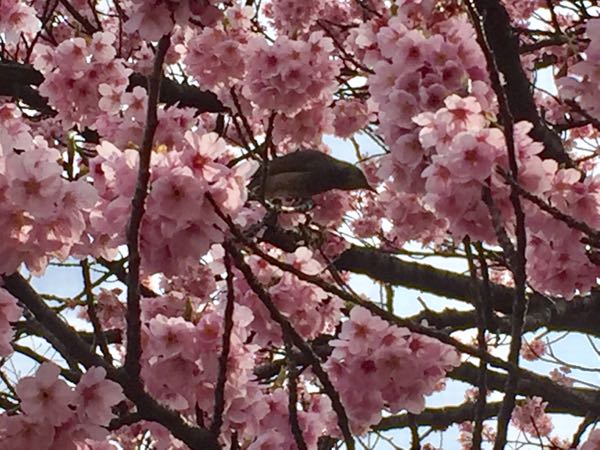 rblog-20170405001416-05.jpg