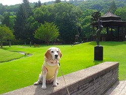 20130721彫刻公園