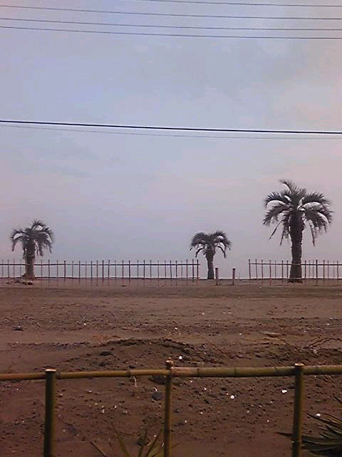 SH3506750001.jpg