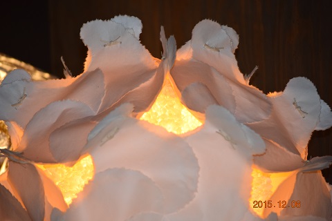 DSC_0022.JPG