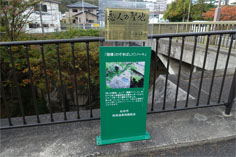 磊々峡30.jpg