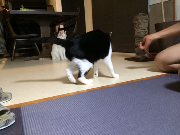 rblog-20150920062641-02.jpg