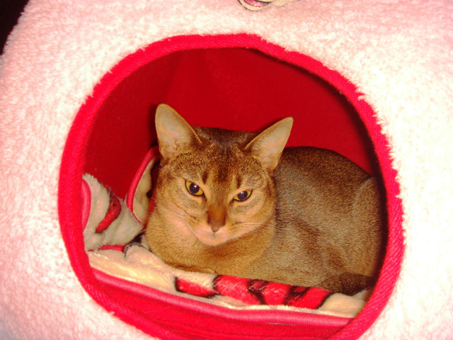 DSC07833.jpg