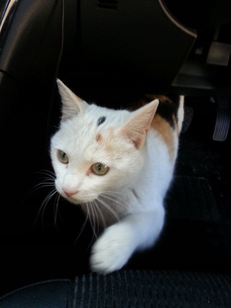 20130317_103910.jpg
