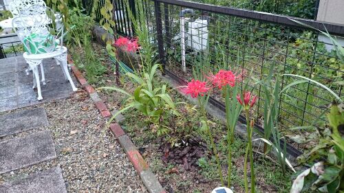 rblog-20160919203225-01.jpg