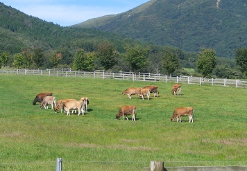 IMG_6827.JPG