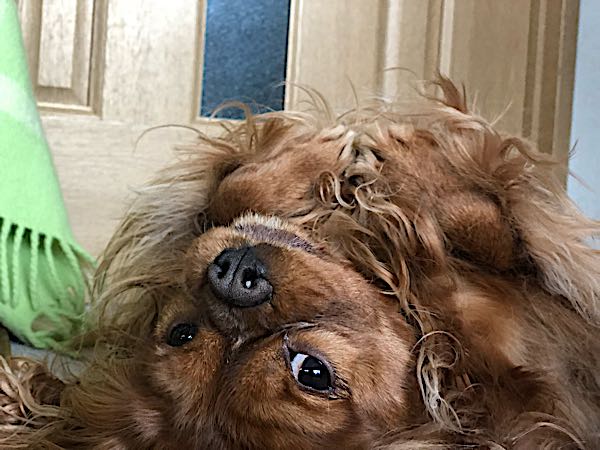 rblog-20180329175903-06.jpg