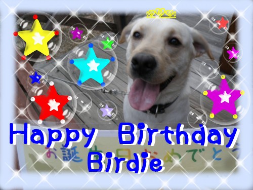 BD Birdie.JPG