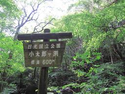 nasu 017.jpg