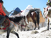 e  IMG_0087.jpg