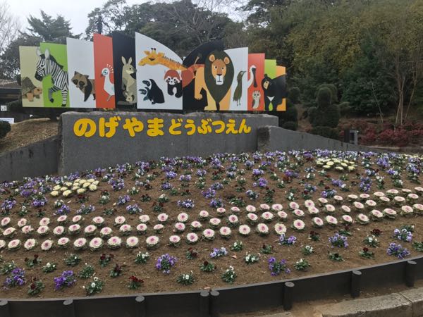 rblog-20190201140056-01.jpg