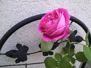 2012-04-20 10:17:53