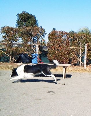 NEC_8891.jpg