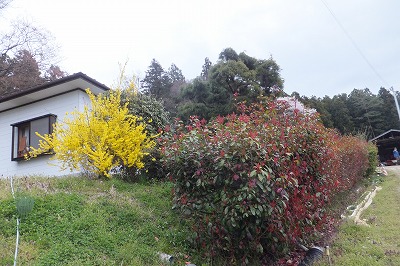 DSCF3326.jpg