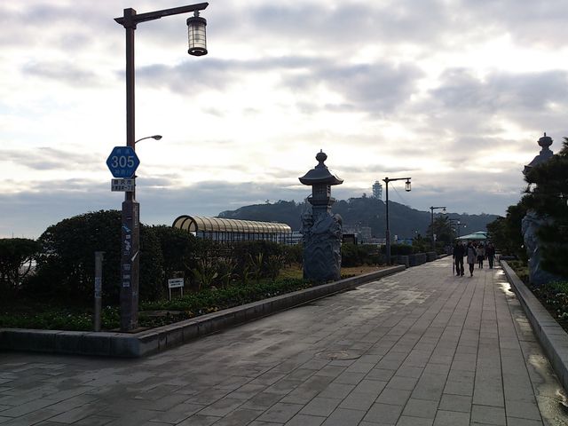 2012-12-22 14.45.08.jpg