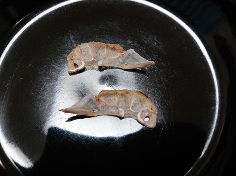 ほうぼう 魚 料理 ほうぼう 魚介 食事 ビジュアル 新幹線 りょうちんのブログ 楽天ブログ