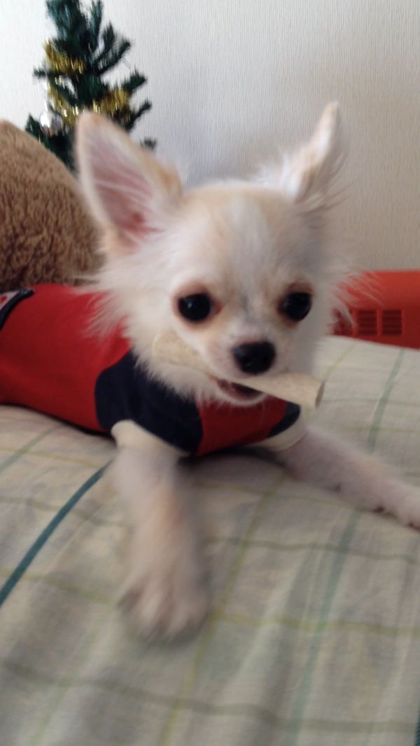 rblog-20131205014445-02.jpg