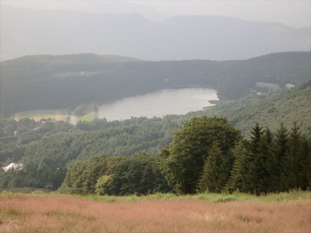 CIMG6129_R.JPG