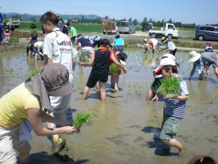 田植え１