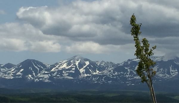 rblog-20180530091530-03.jpg