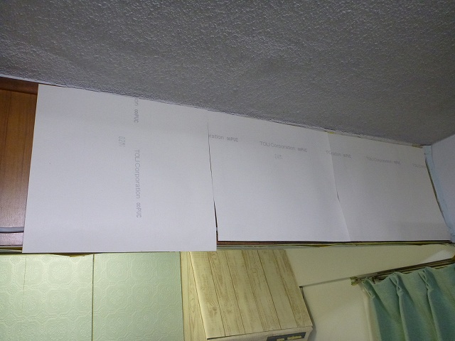 P1110219.jpg
