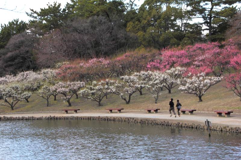 緑ヶ丘公園_002.jpg