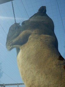 20120428(43).jpg
