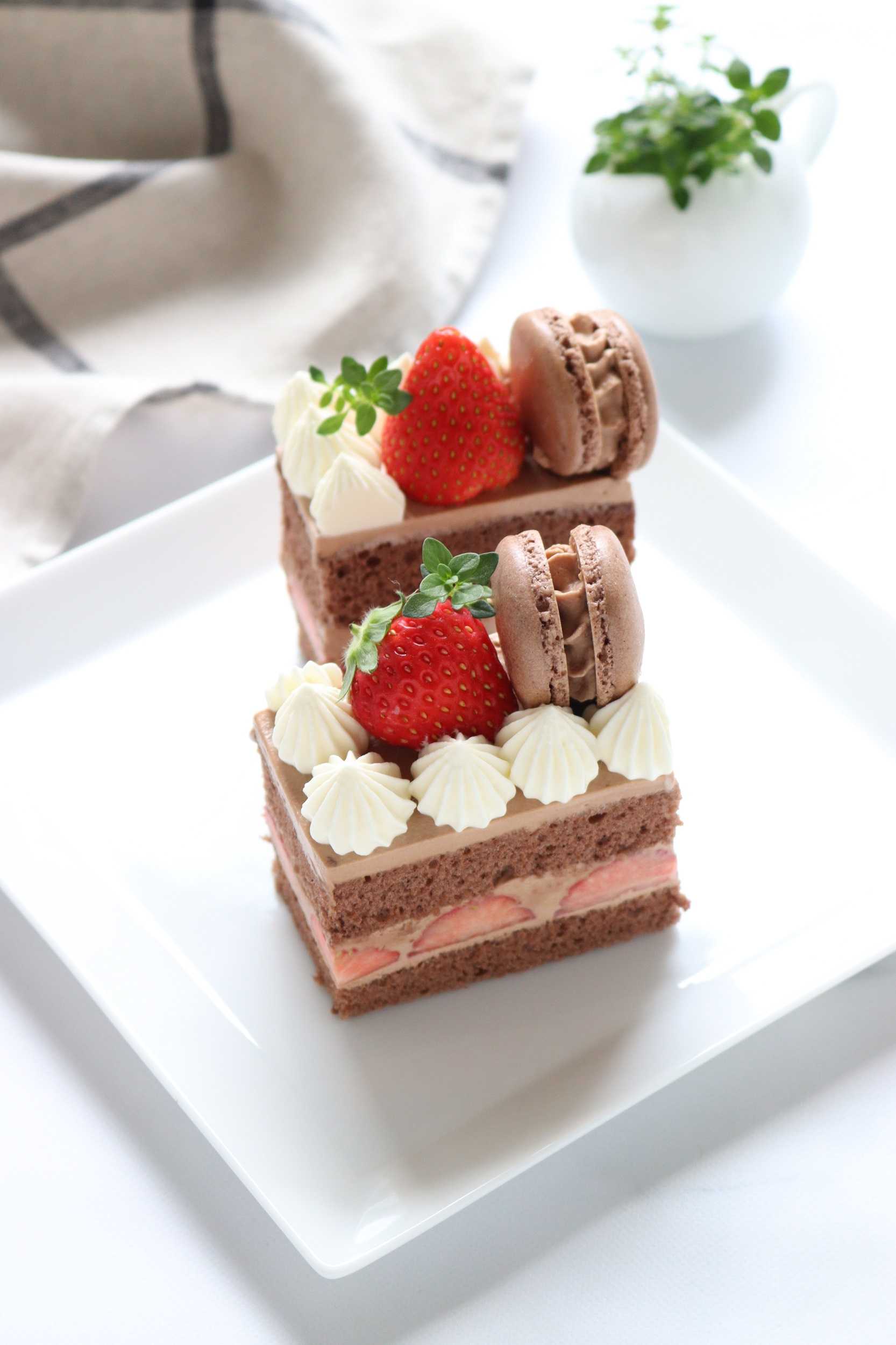 スクエアの生チョコショートケーキ ~ガトーオショコラフレーズ | Home
