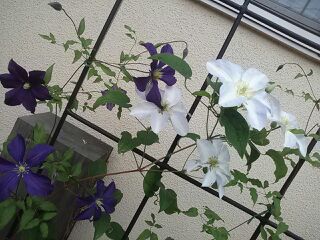 rblog-20140326191131-02.jpg