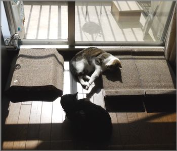 悩み～