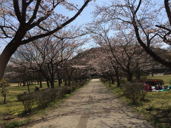 rblog-20150331130038-02.jpg