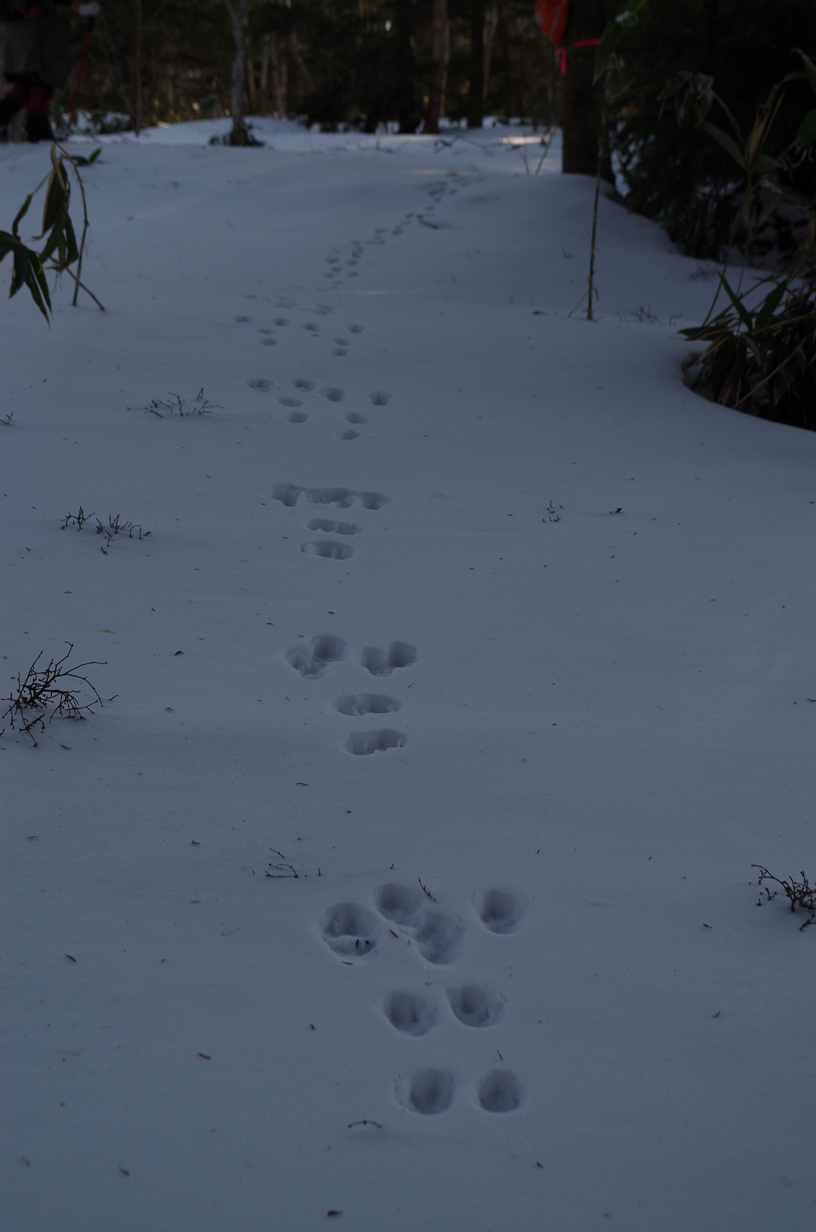 10_IMGP1007.JPG