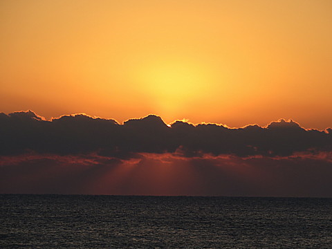 IMG_0827.jpg